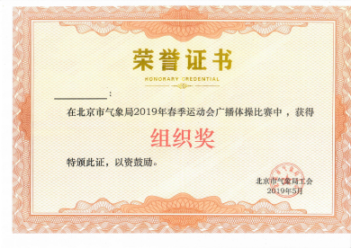 2019年广播操比赛组织奖